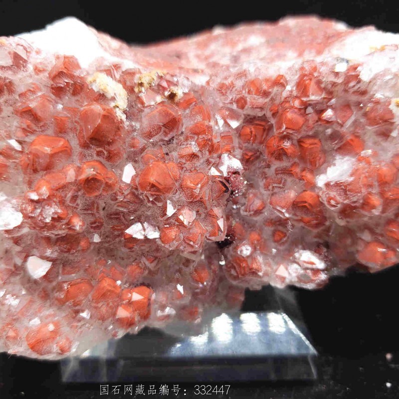 16天然红幽灵金字塔原石鲜红水晶晶簇包裹体水晶共生多种矿物质