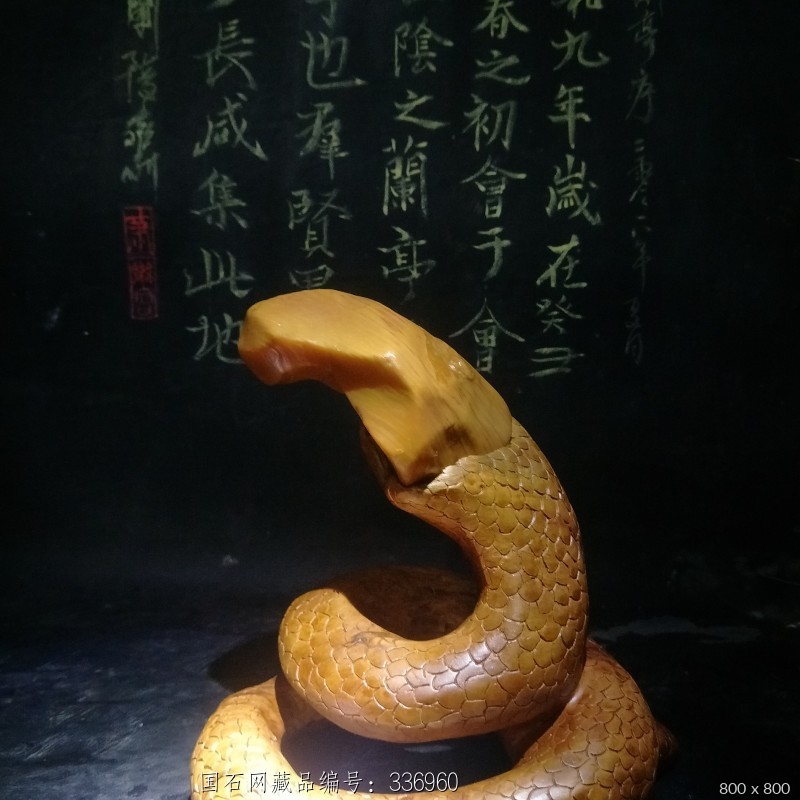 蛇王