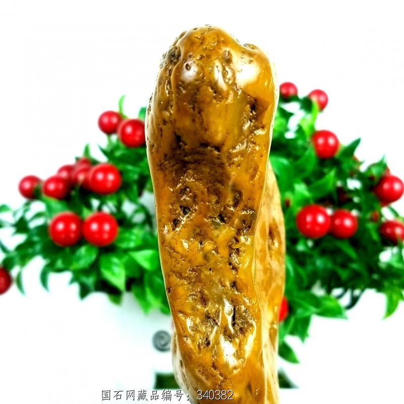 皮蜡冻 观赏黄蜡石