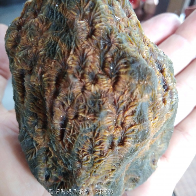 8*3cm 重量:未知 底座:不含 运费:免运费 藏品意蕴:新疆黑山筋脉石