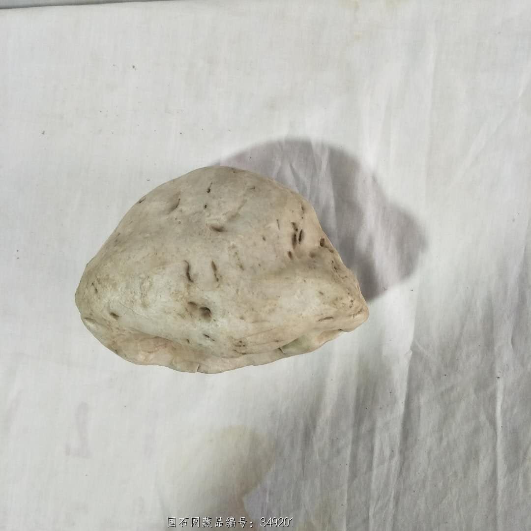 石蚌