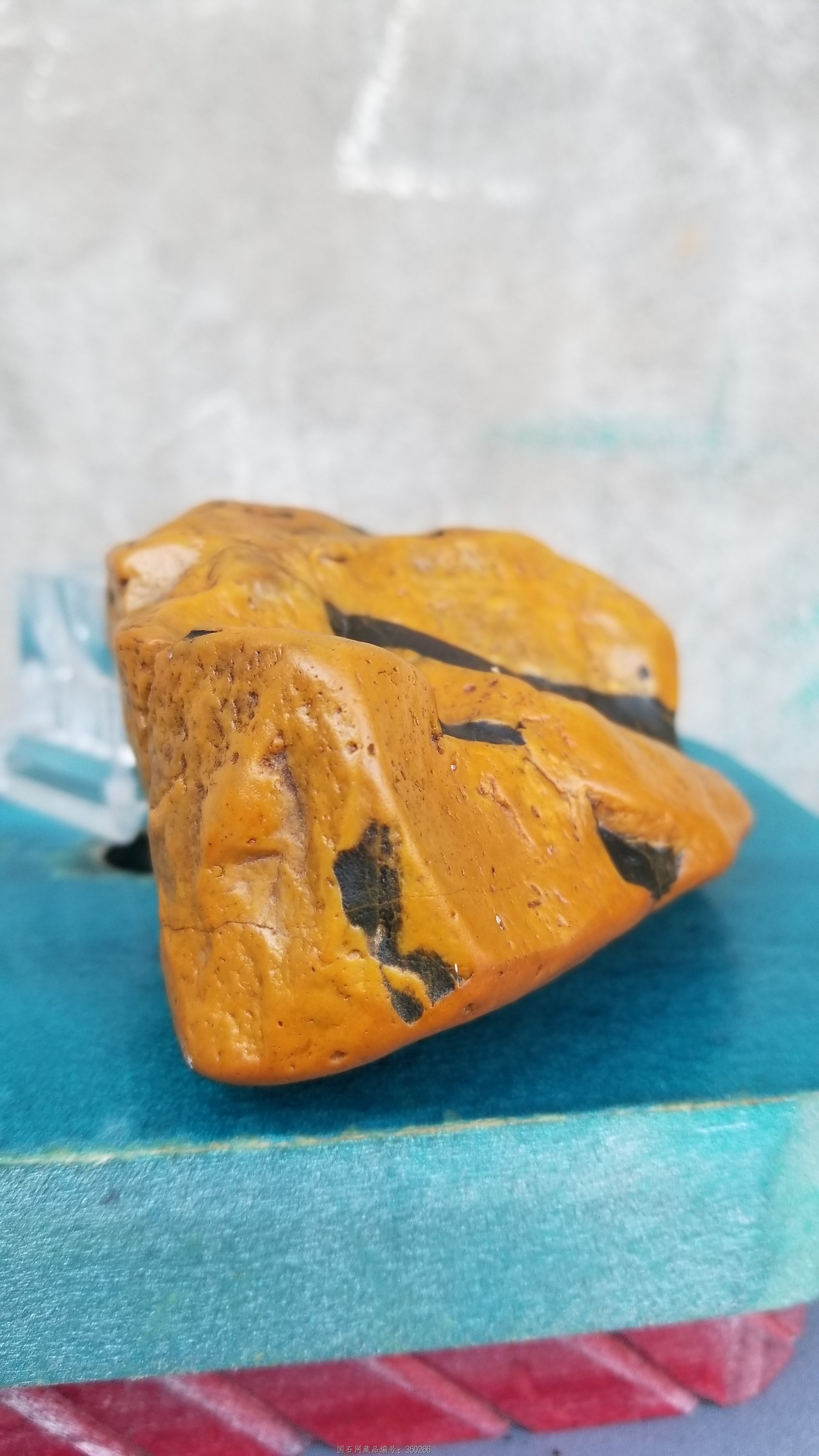 金包铁 观赏黄蜡石