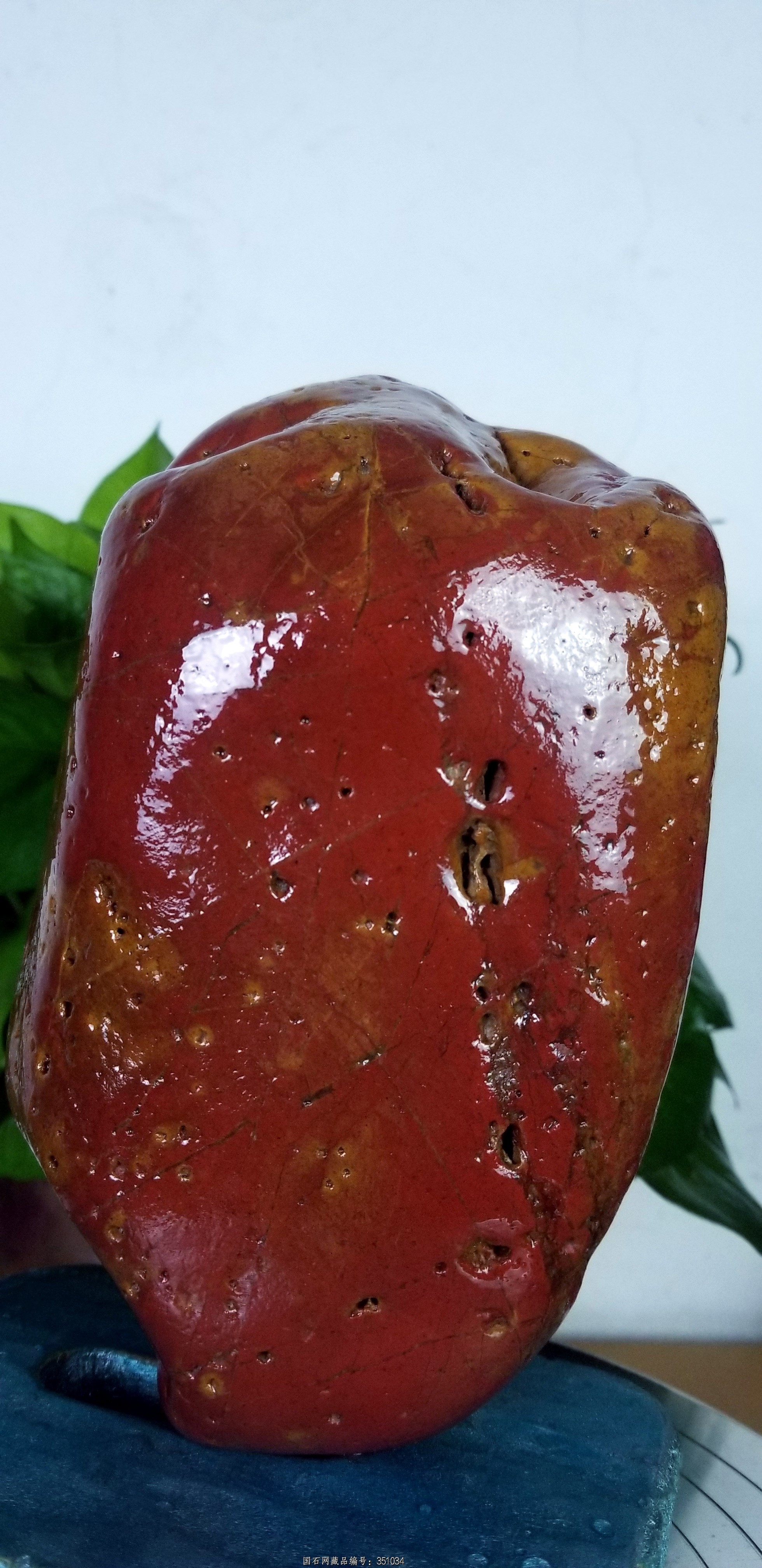 彩陶《红黄》 观赏黄蜡石