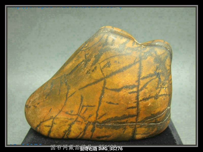 大湾大化石 38276 爱奇石语 50 净石尺寸(CM) 9 -6 - 2