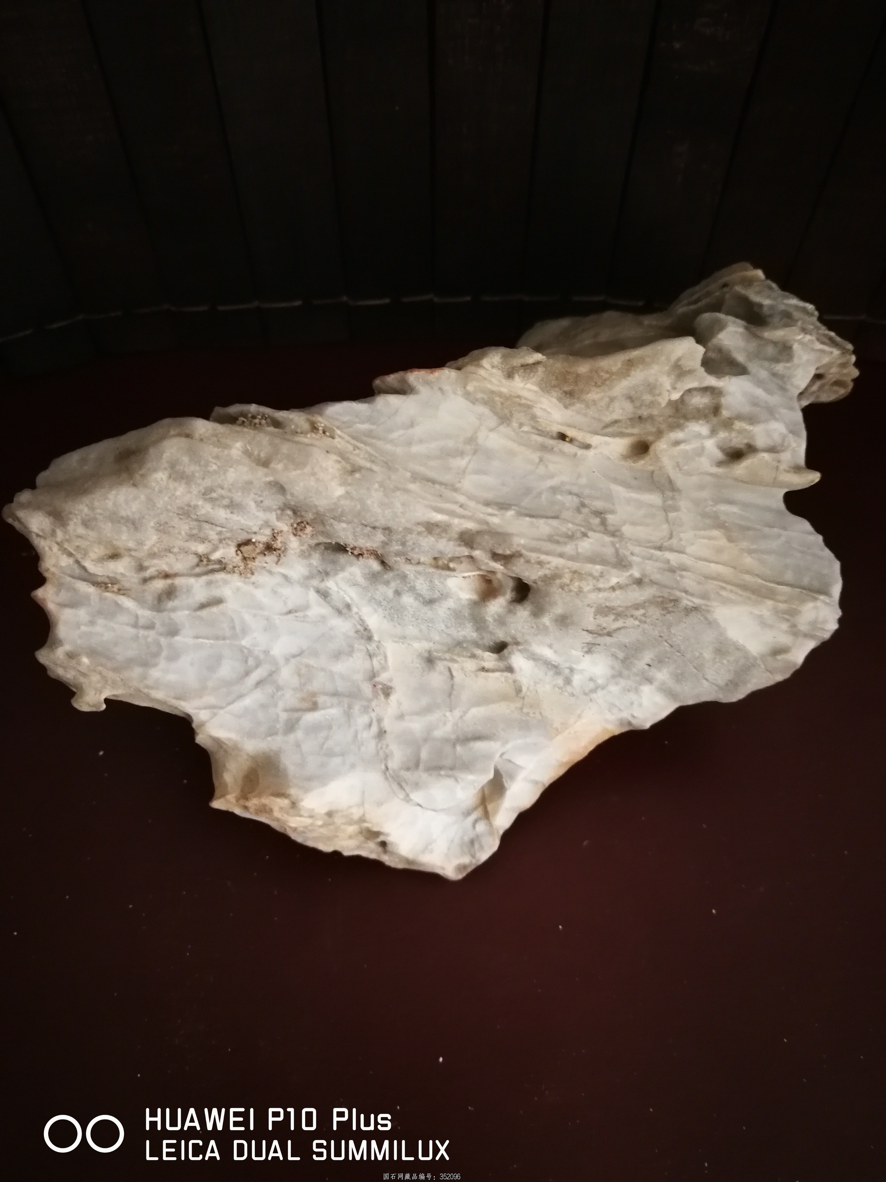 新疆哈密大南湖玉化像型风凌石