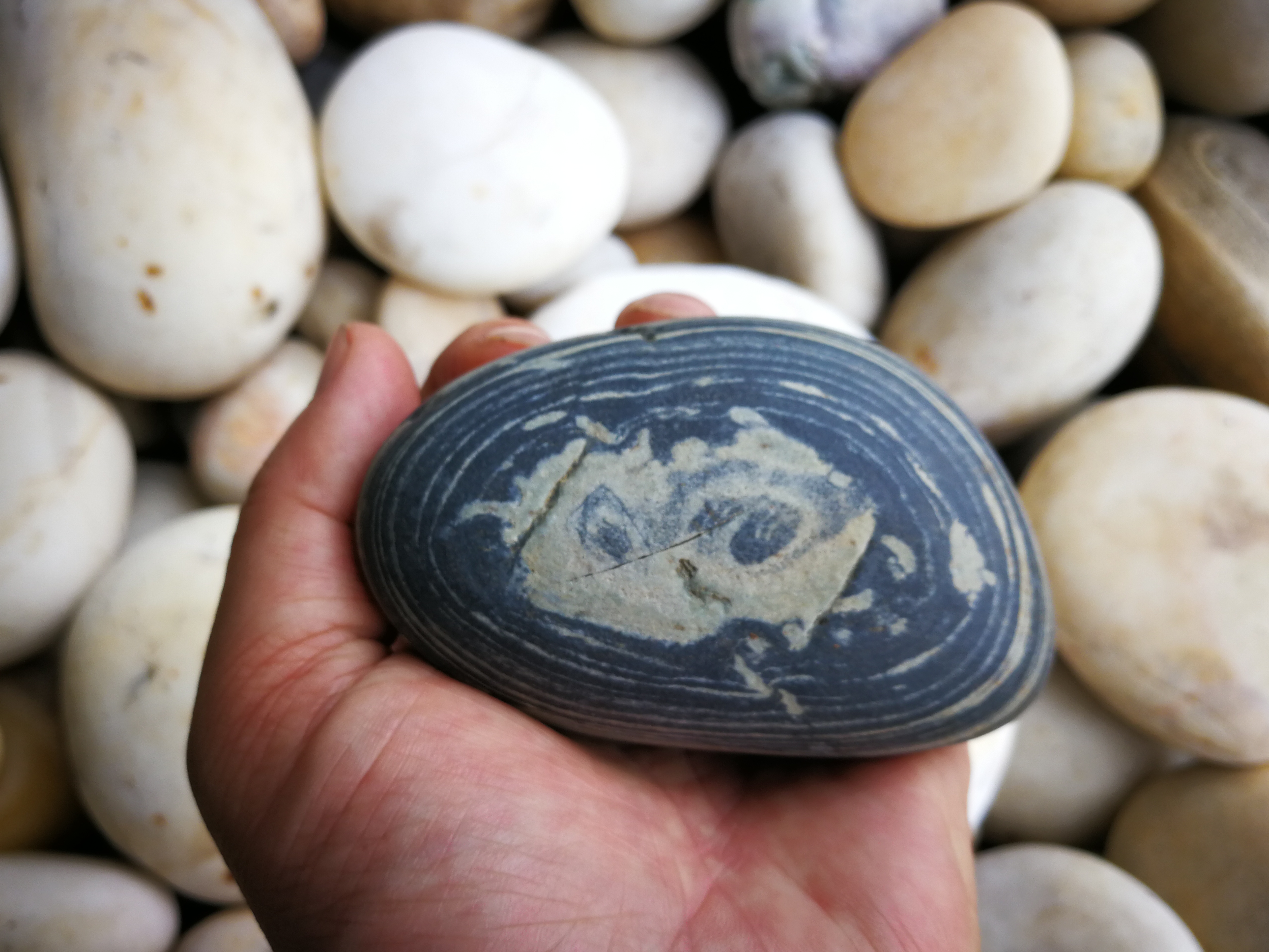 怒江水墨摆件猫首