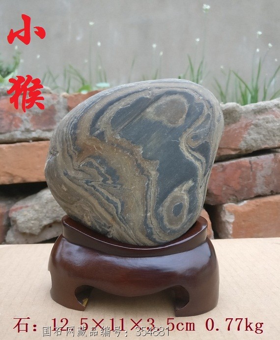 小猴（襄阳汉江奇石 动物生肖石 人物石 画面图案石 特种石）包邮
