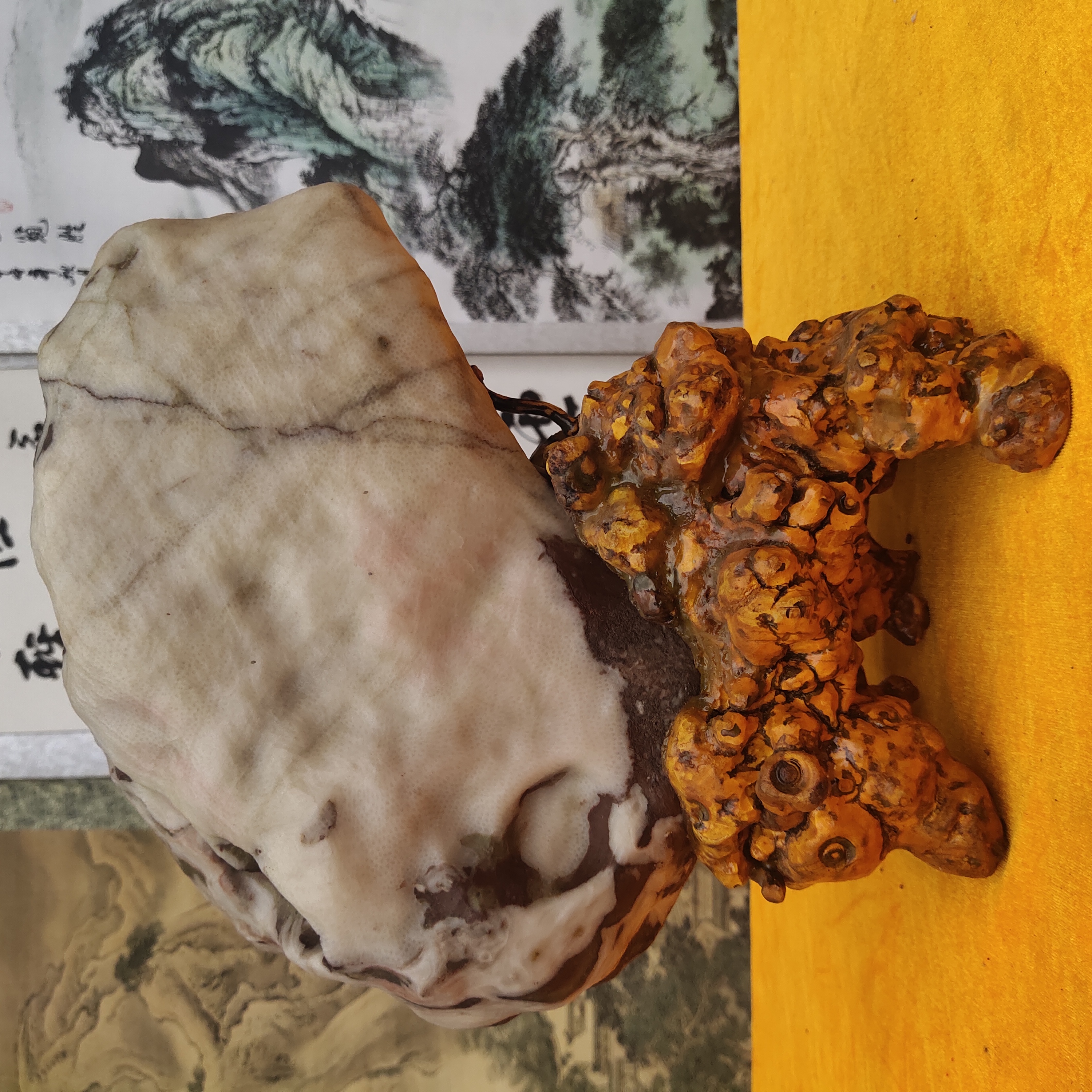 珊瑚玉化石