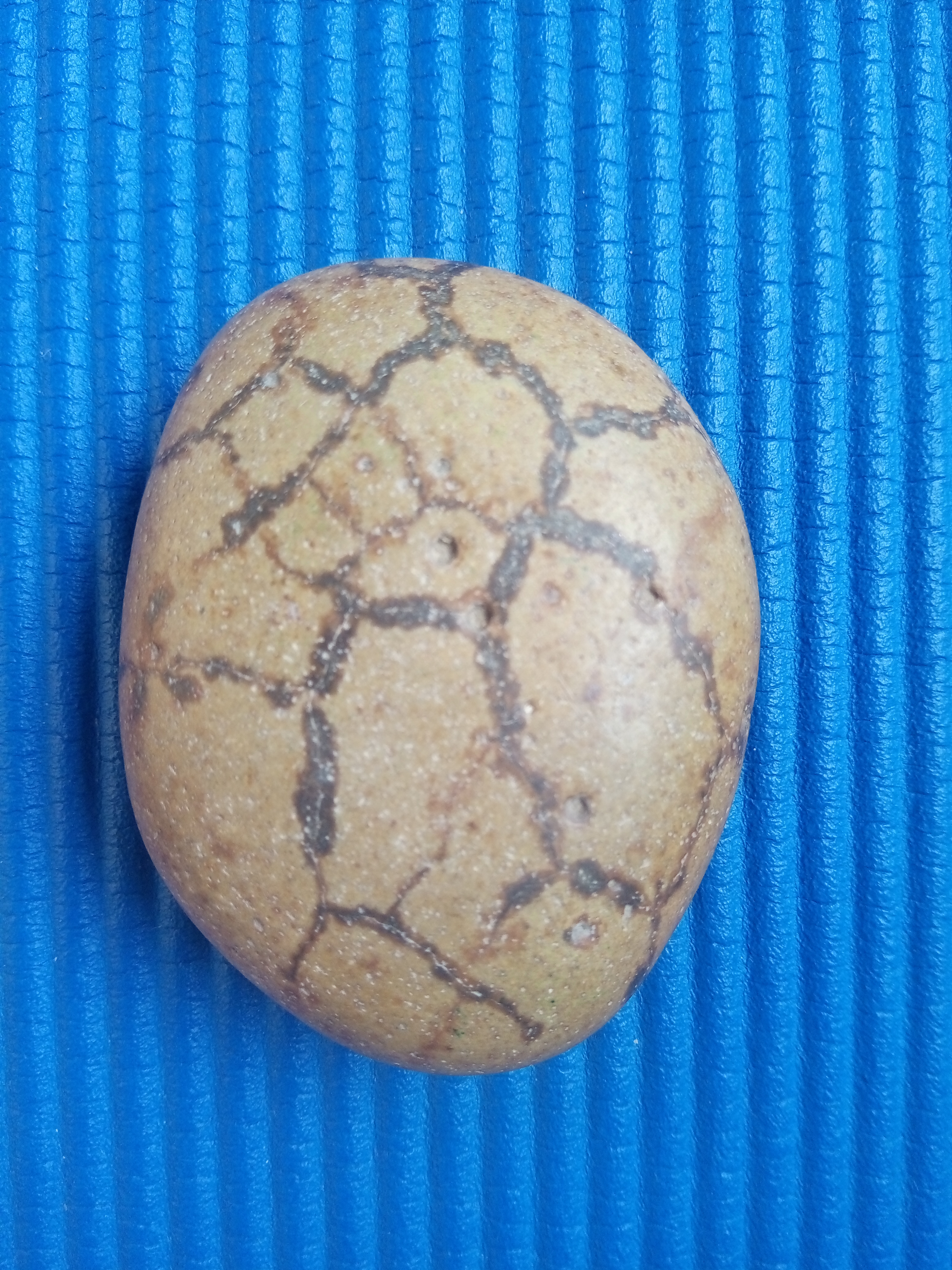 龟纹石