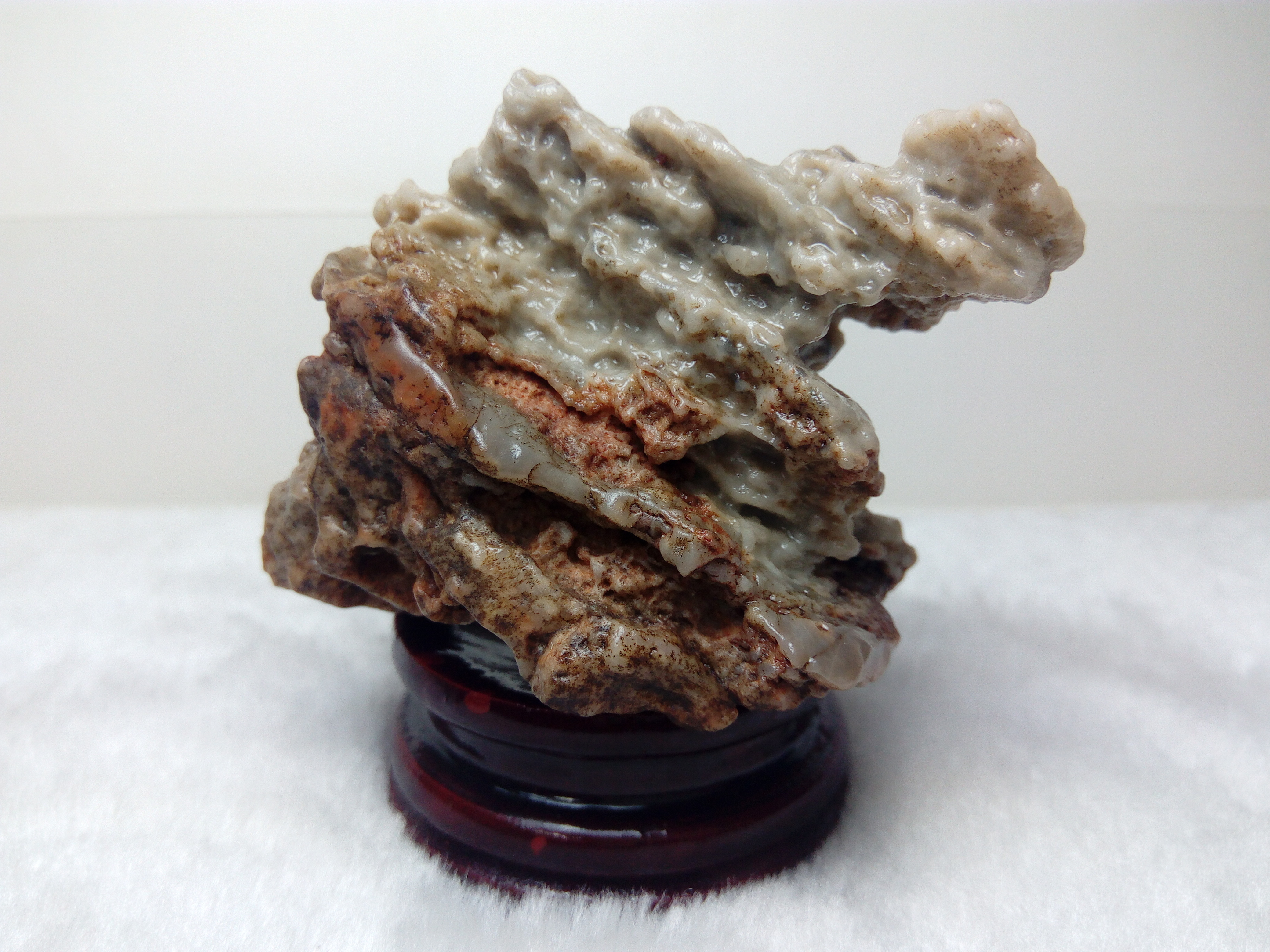 特价象形风凌石龟