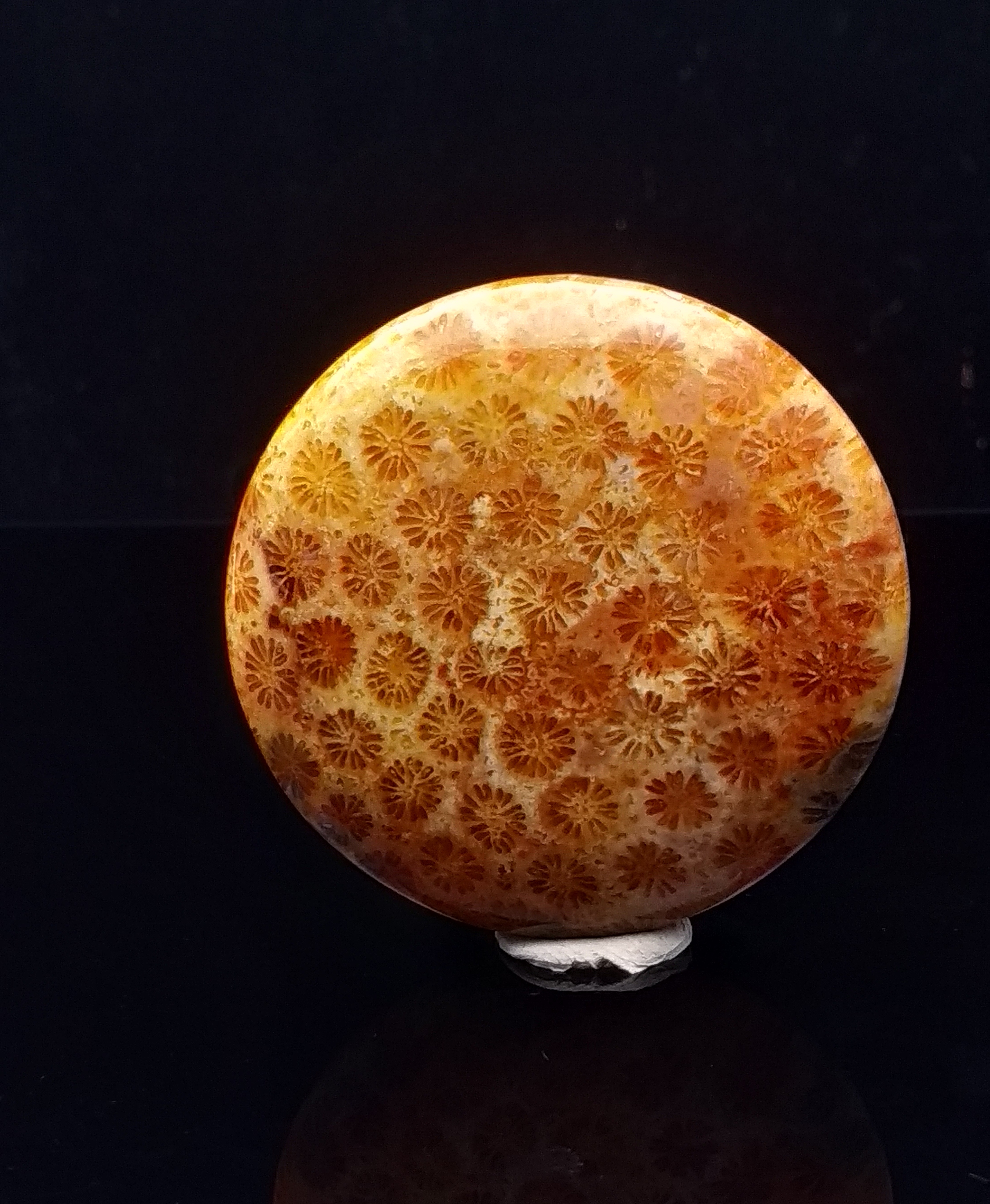 石馆 石破天惊  满花珊瑚玉藏品名称:满花珊瑚玉