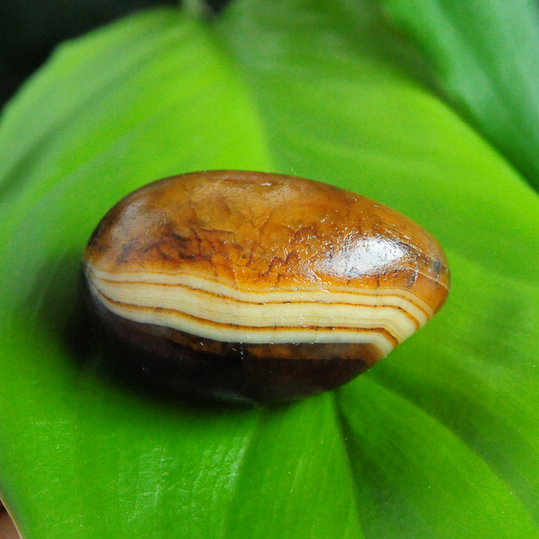马料冰彩玛瑙马达加斯加玛瑙原石籽料天然花纹奇石象形观赏石-包邮-石