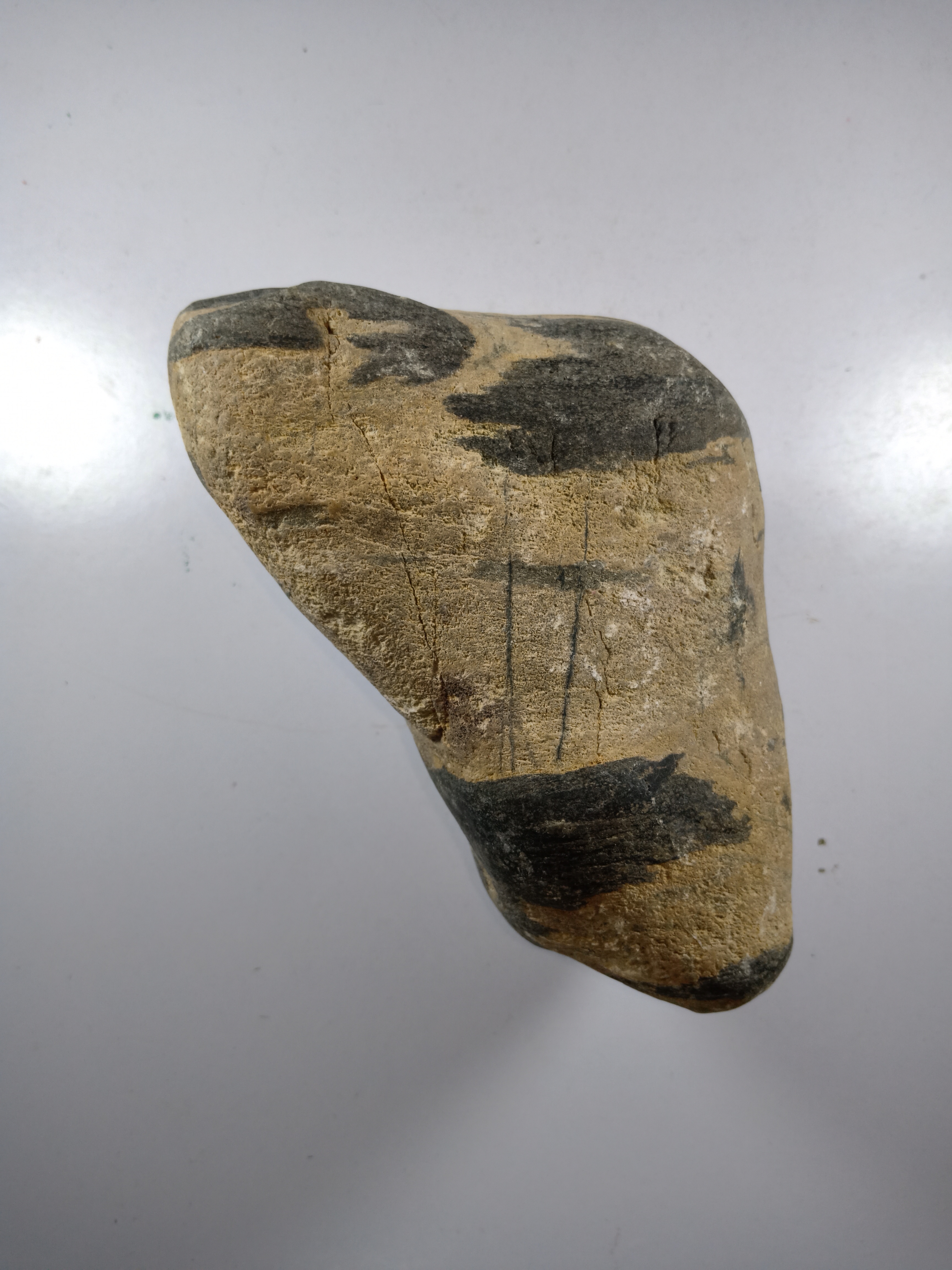 天地神龙,飞龙在天