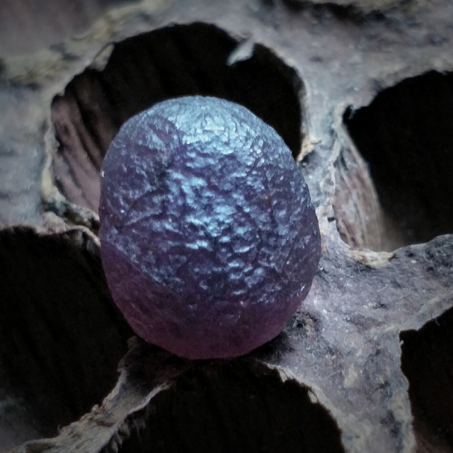 阿拉善戈壁玛瑙地表紫罗兰珠子