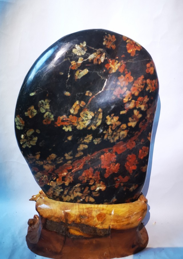 运费:免运费藏品意蕴:洛阳红牡丹石,打磨石,[国色天香红牡丹],石质为