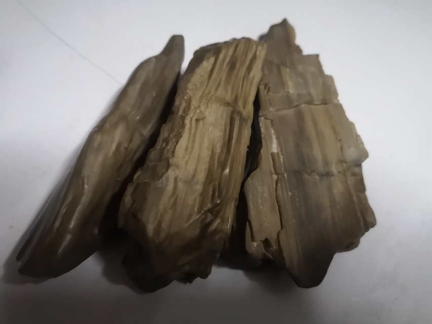 木化石(3个)