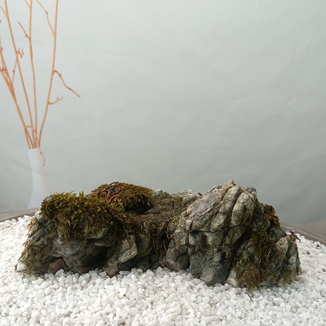 天然龟纹石