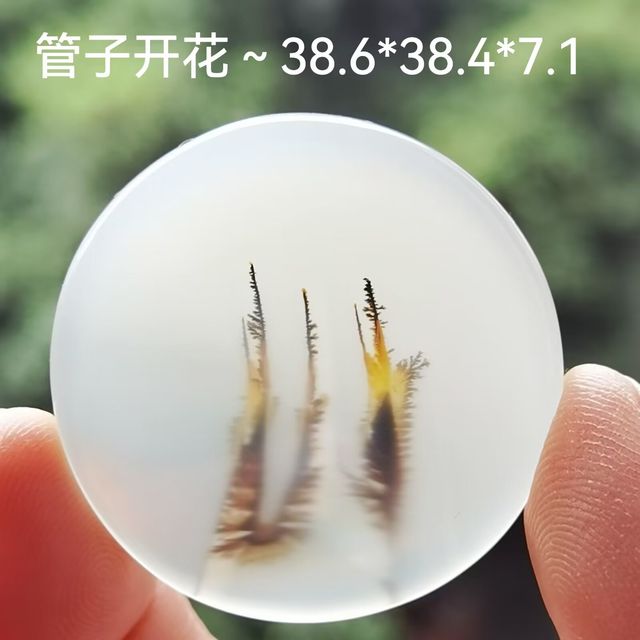 海玉1069～管子开花