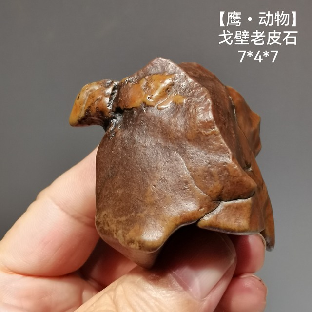 【雄鹰•动物】